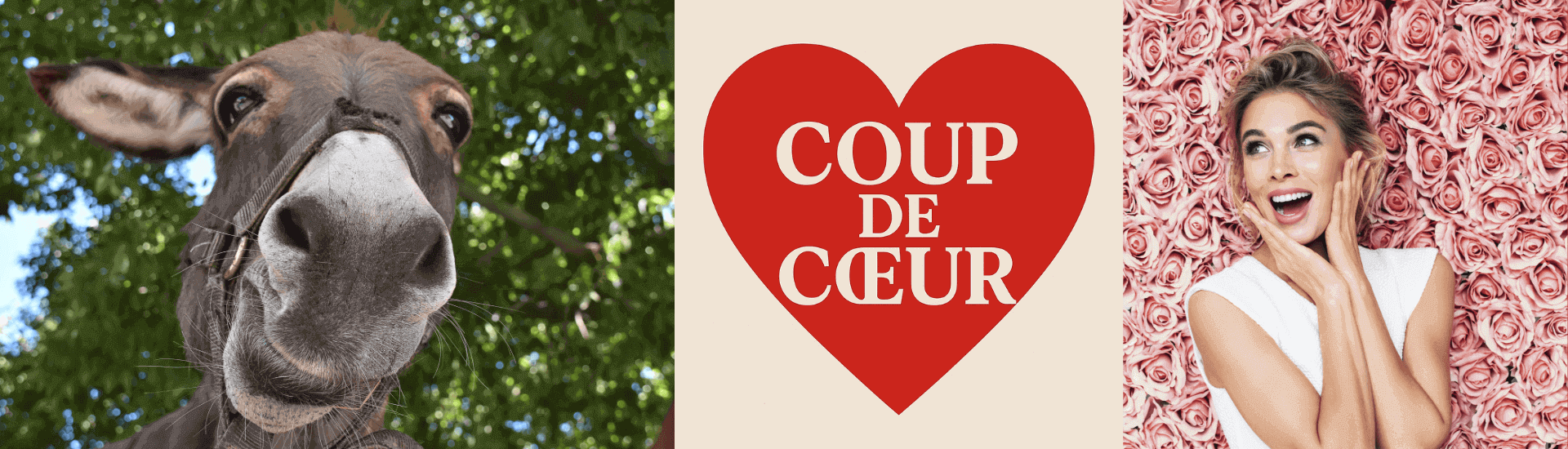 Coups de coeur