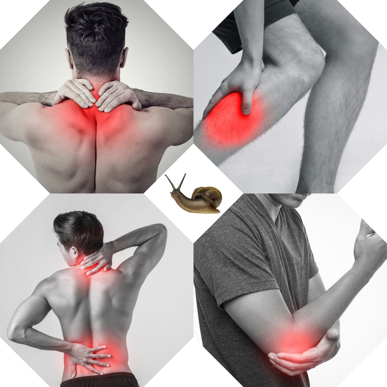 Gélules sécrétion d’escargot