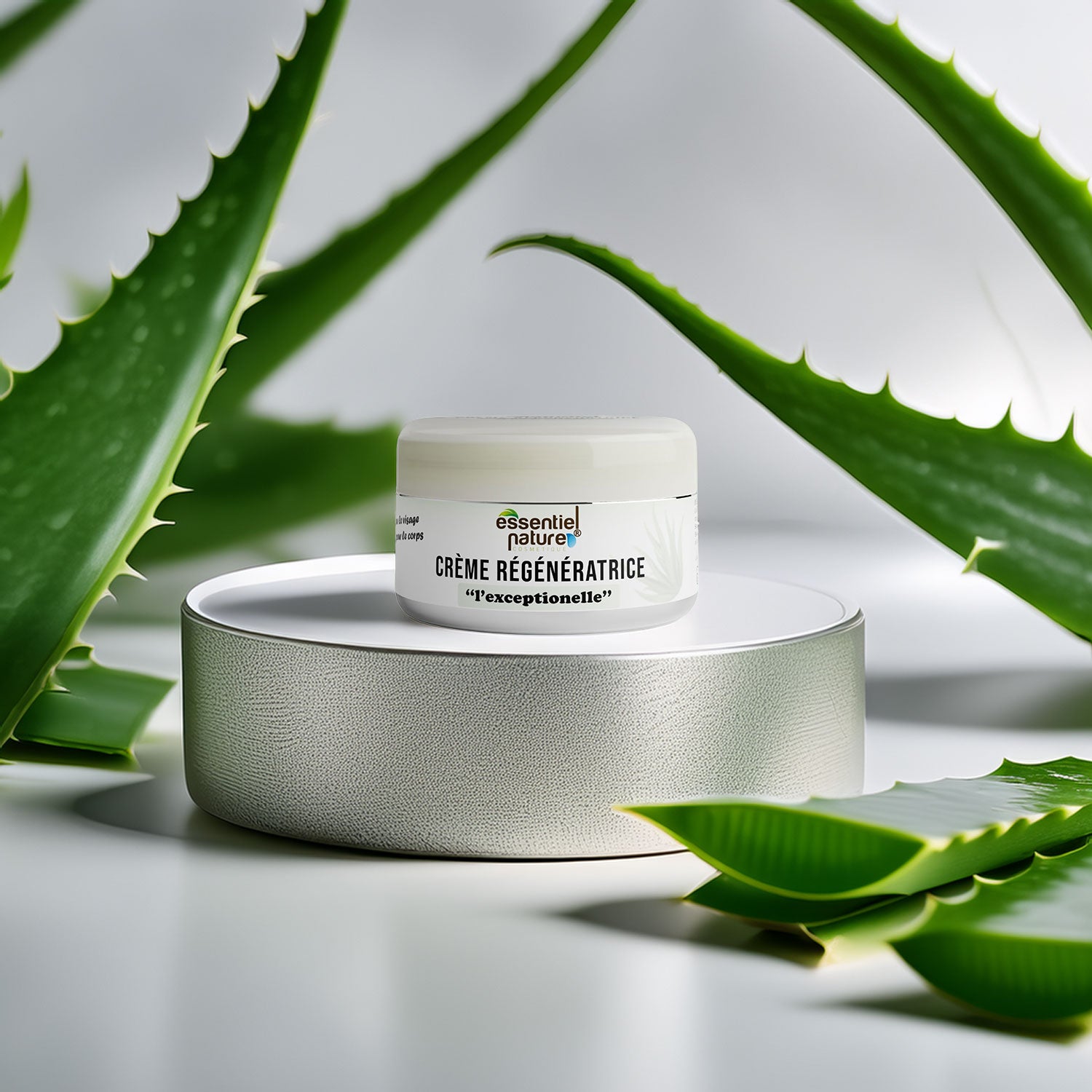 Crème régénératrice aloe vera bio "l'exceptionnelle"